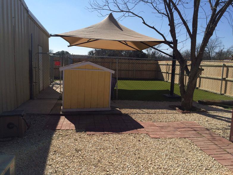 Pet Daycare in Salado, TX The Dog Spot